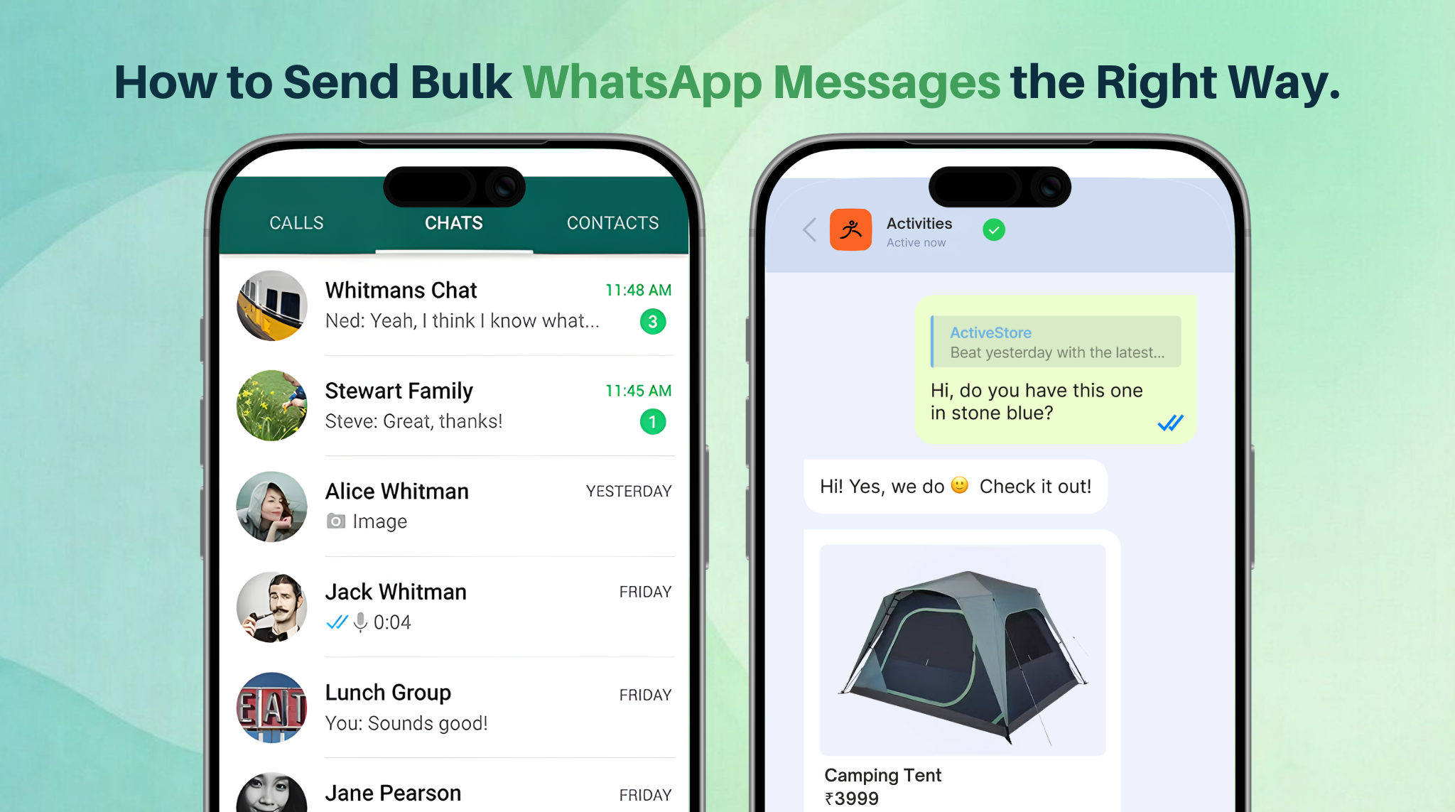 how to send bulk whatsapp messages